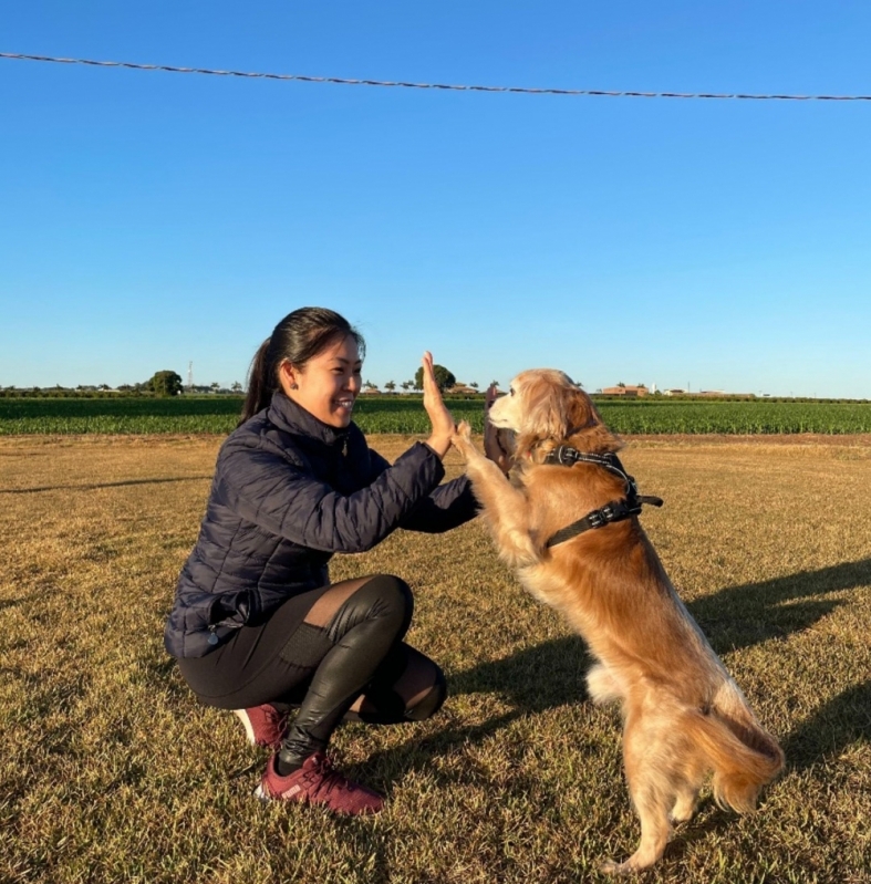 Adestramento de Cachorro Filhote