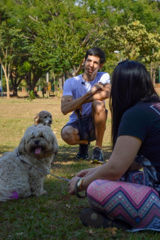 Adestrar Seu Cachorro