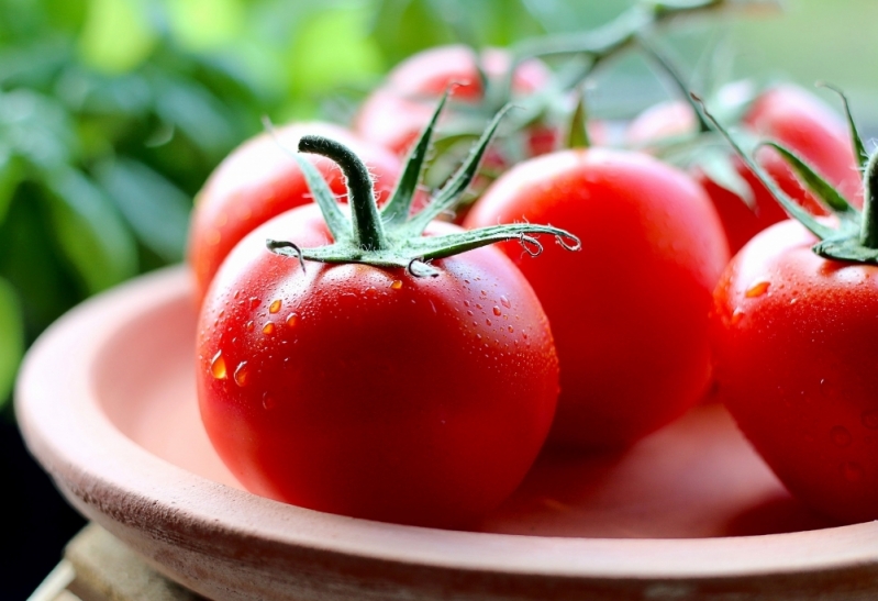 Alimentação para Empresa Coletiva