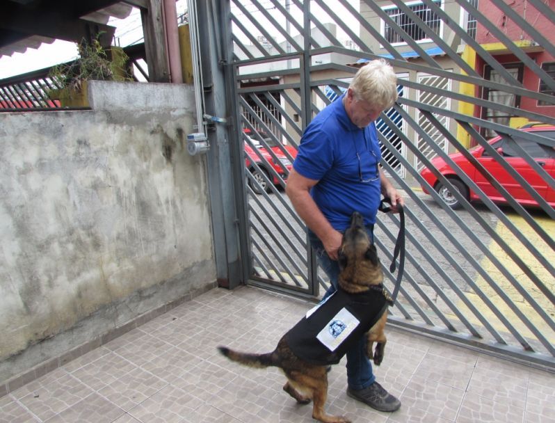 Aluguel de Cão Farejador na Zona Leste