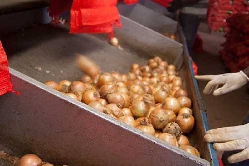 Atacadista de Cebola para Restaurante