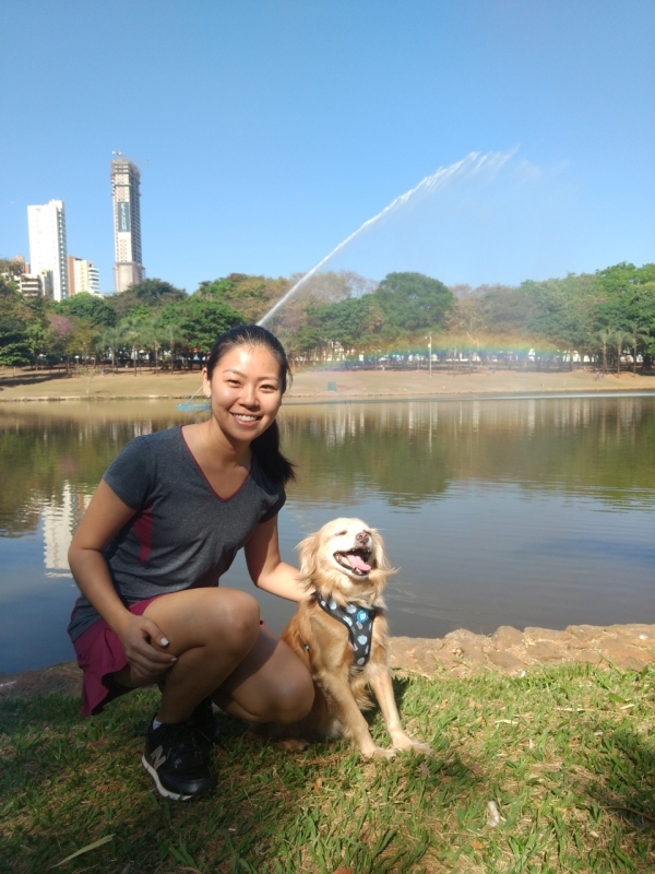 Aula Adestramento de Cães Online