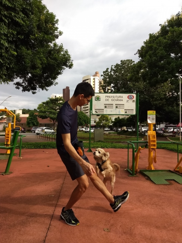 Aula Adestramento