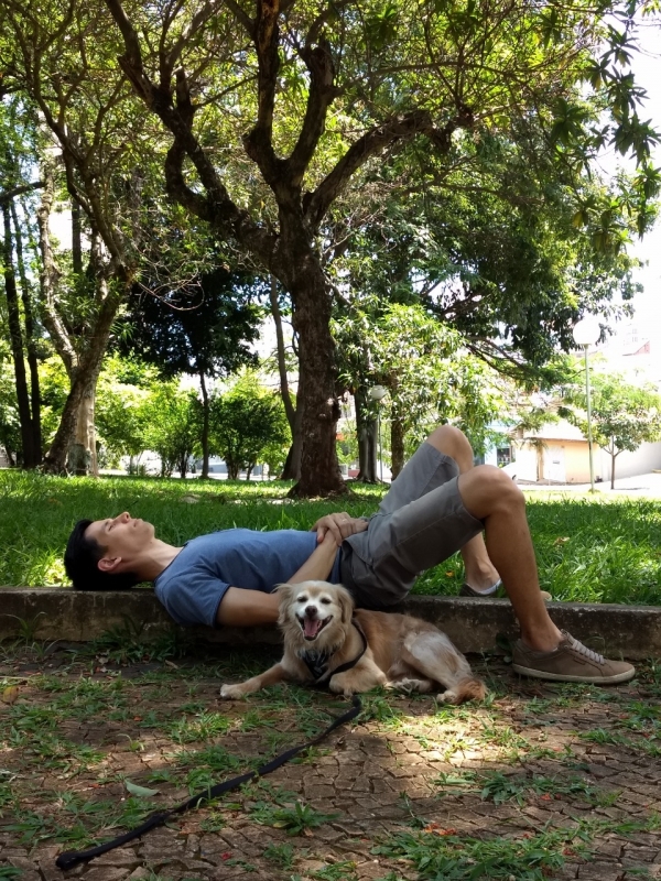 Aula de Adestramento para Cachorros