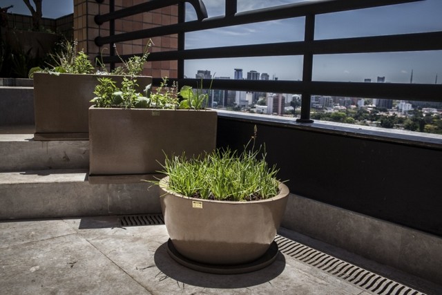 Bacia para Plantas em Polietileno