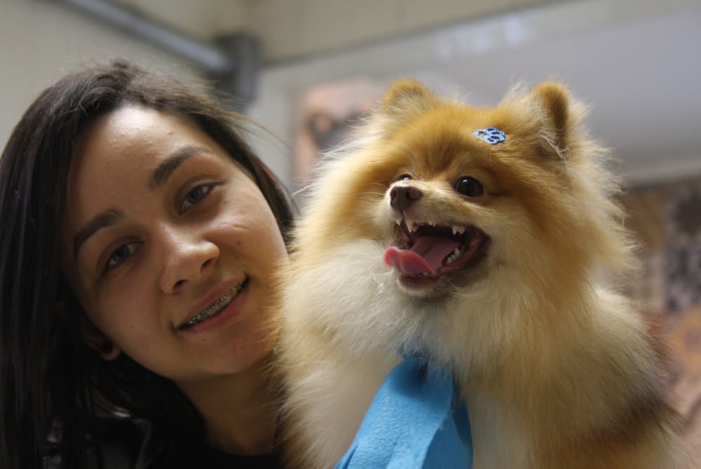 Banho e Tosa para Cachorro em Sp