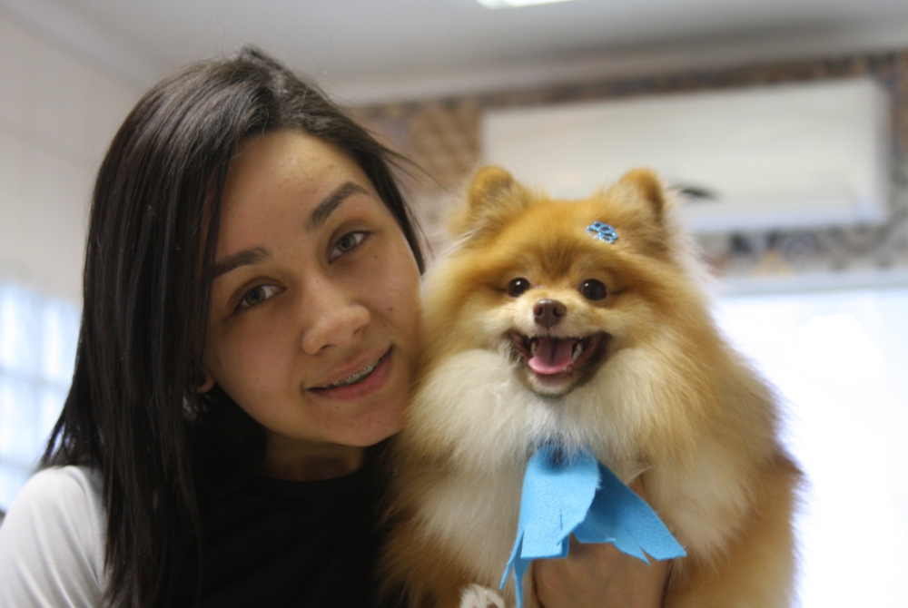 Banho e Tosa para Cachorro na Vila Mariana