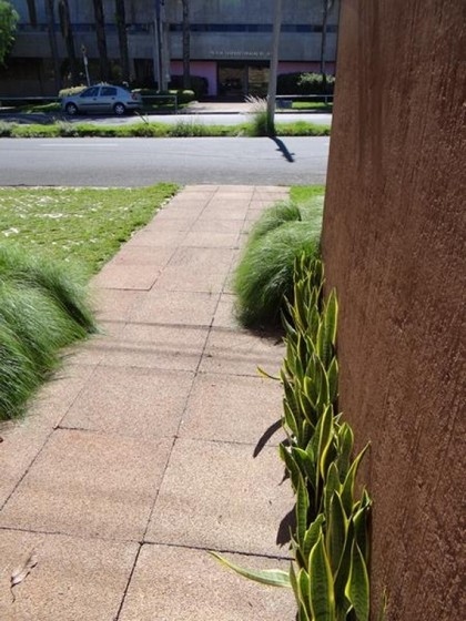 Bloquete de Concreto para Grama