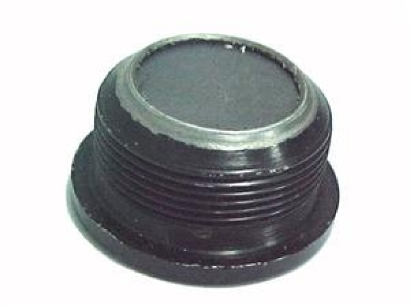 Bujão com Flange