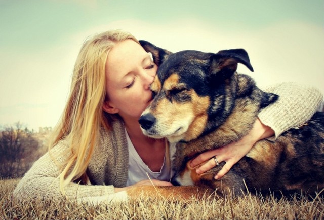 Castração para Cães