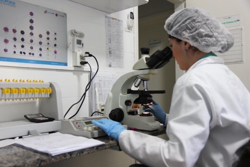 Centro de Exames Laboratoriais para Cachorro