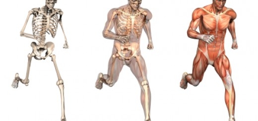 Centro de Fisioterapia Esportiva