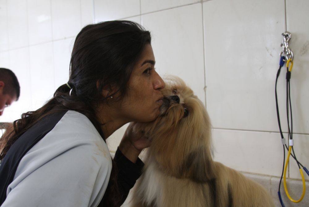 Centro Estético para Cachorro