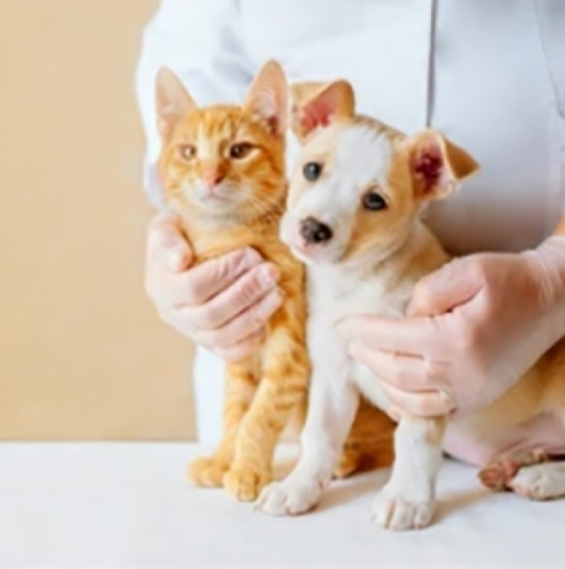 Centro Veterinário com Oftalmologia