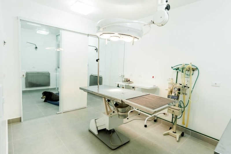 Cirurgia Veterinária Ruptura de Ligamento