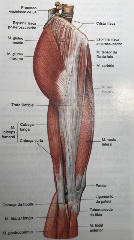 Clínica de Cirurgia de Enxerto no Glúteo