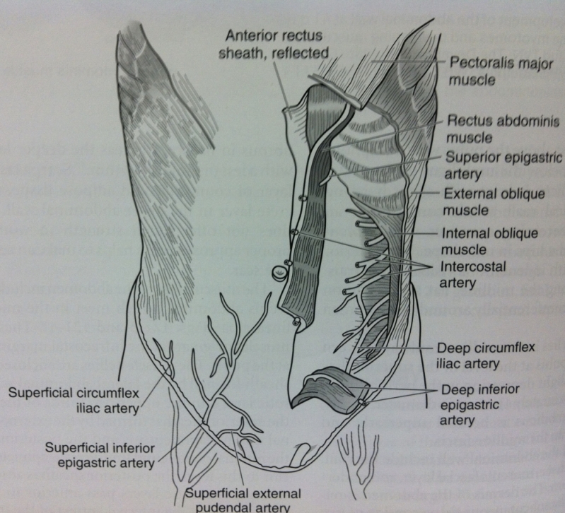 Clínica de Dermolipectomia para Abdômen