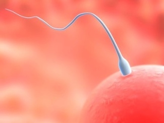 Clínica de Inseminação