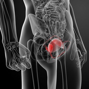 Clínica de Urologista