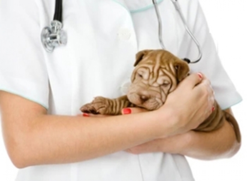 Clínica de Vacina para Cachorro