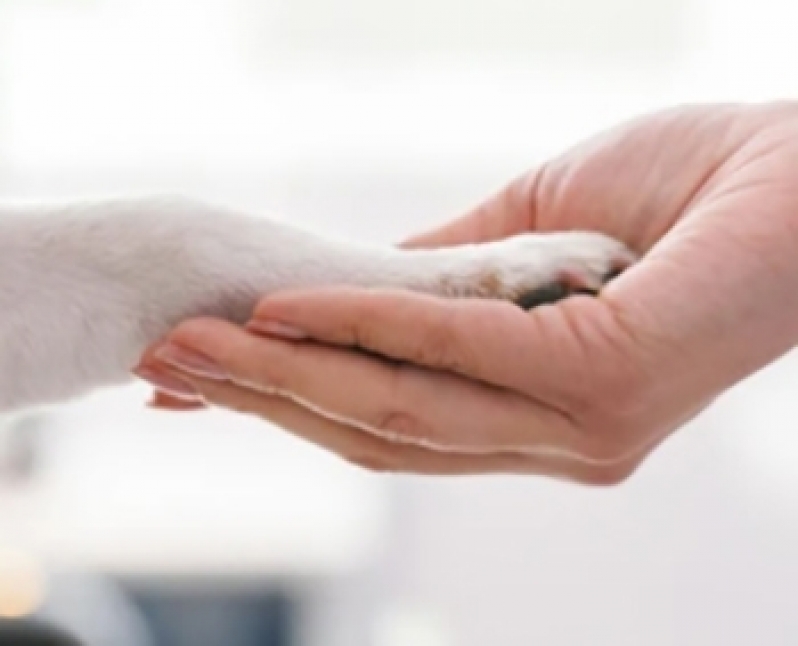Clínica de Vacina Giardia Cachorro