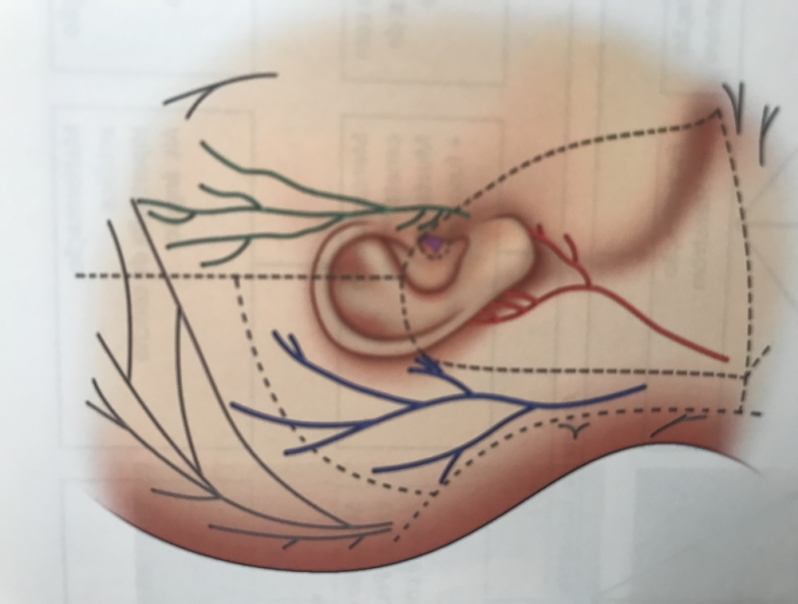 Clínica para Cirurgia de Otoplastia