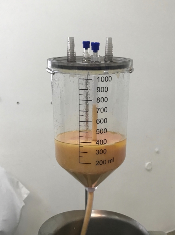 Clínica para Enxerto de Glúteo