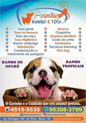 Clínica Veterinária Oftalmologia