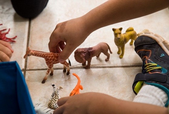 Colégio Infantil com Ensino Fundamental Particular