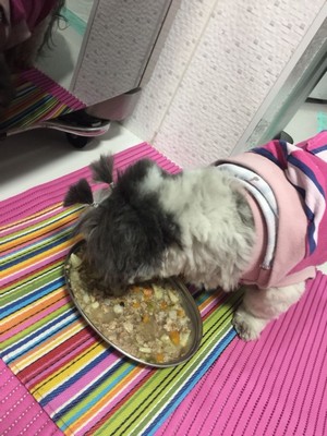 Comida Natural para Cachorro com Problema Renal