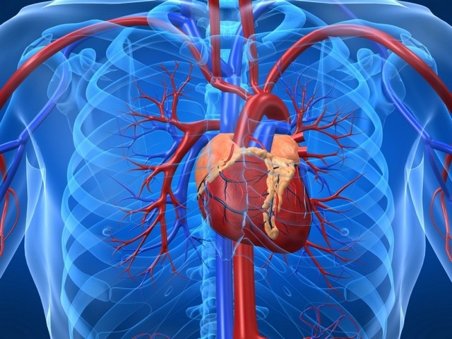 Consulta ao Cardiologia para Insuficiência Cardíaca