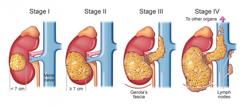 Consultório de Urologista