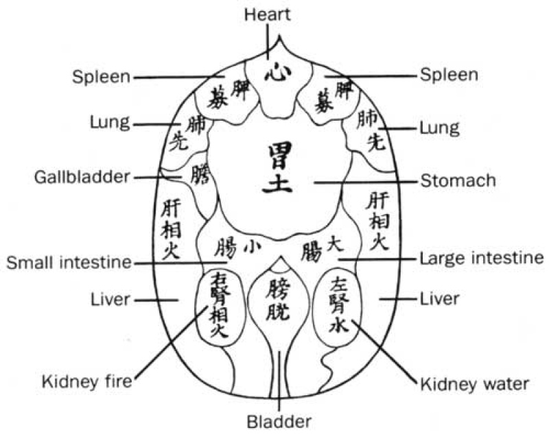 Craniopuntura para Sinusite