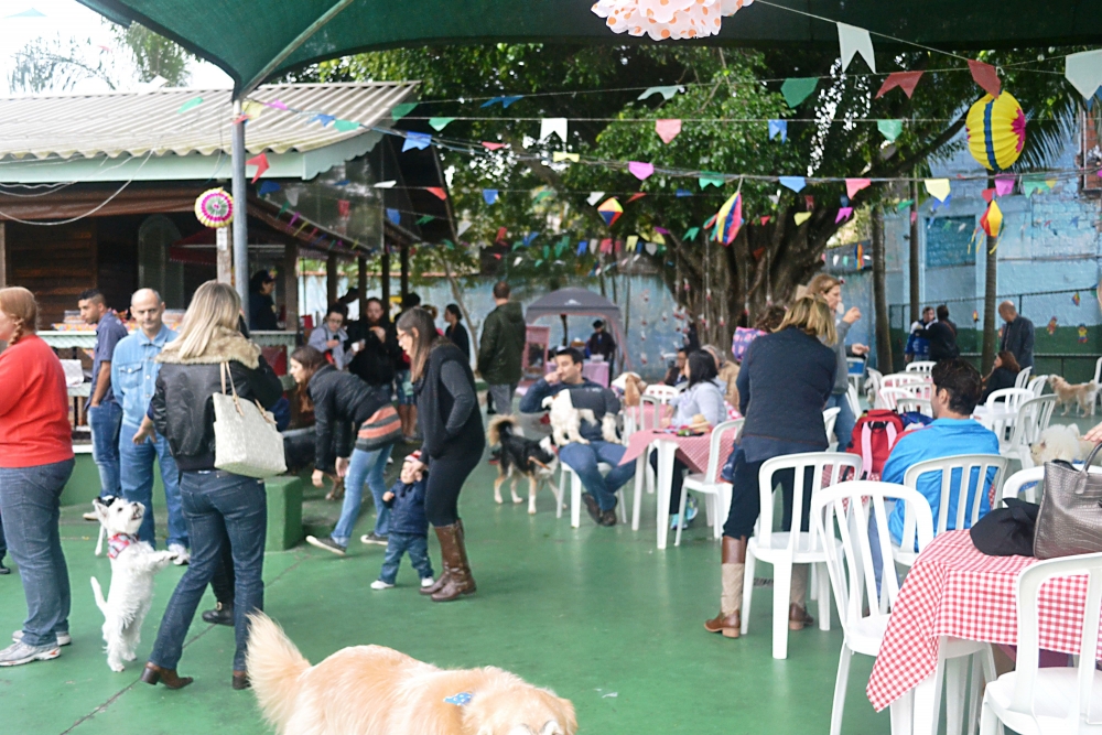 Creche de Animais