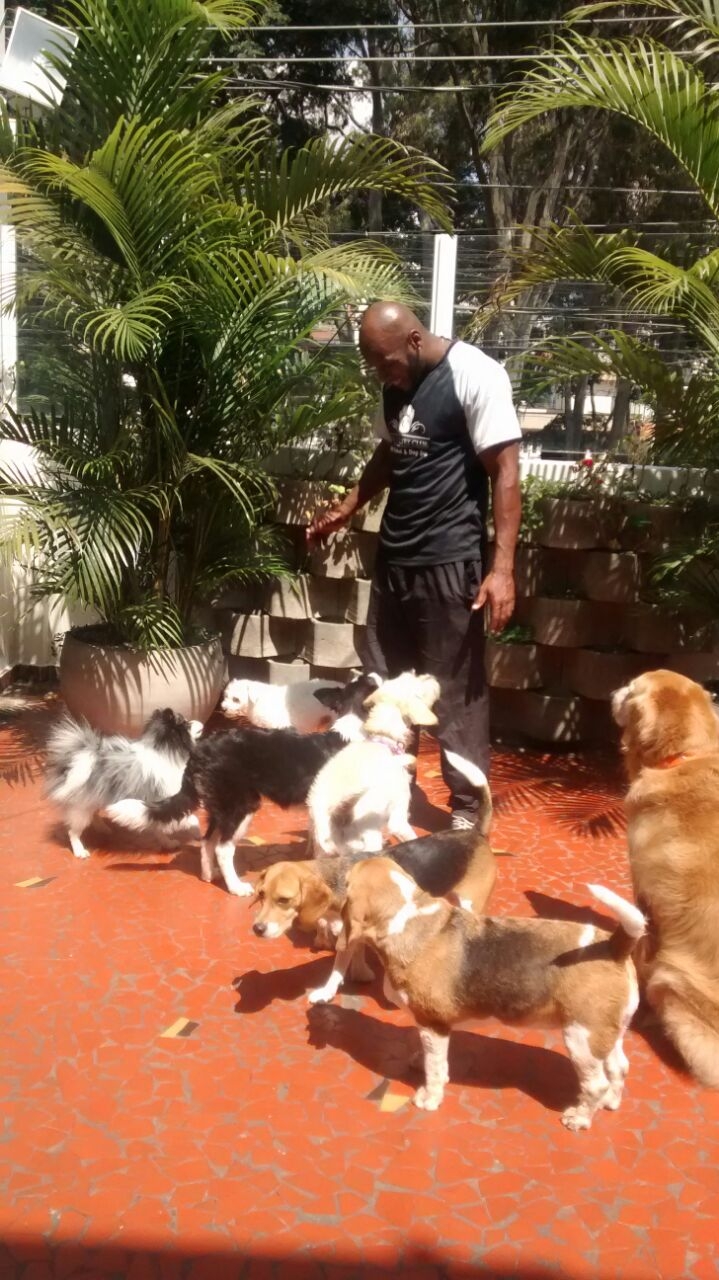 Creche e Hotel para Cachorro