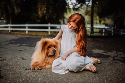 Creche para Cães de Raça