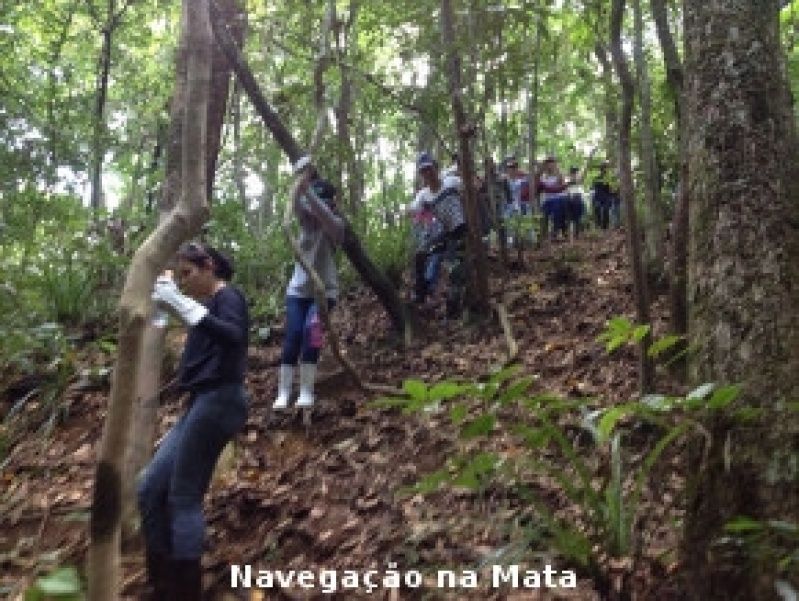 Curso de Comissária de Bordo