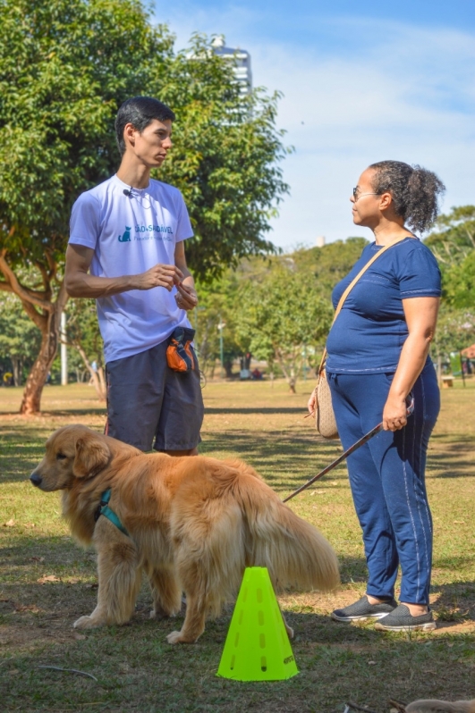 Curso Online Adestramento de Cães