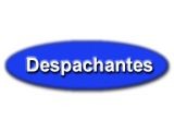 Despachante Detran SP