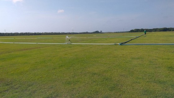 Distribuidora de Grama Esmeralda para Campo