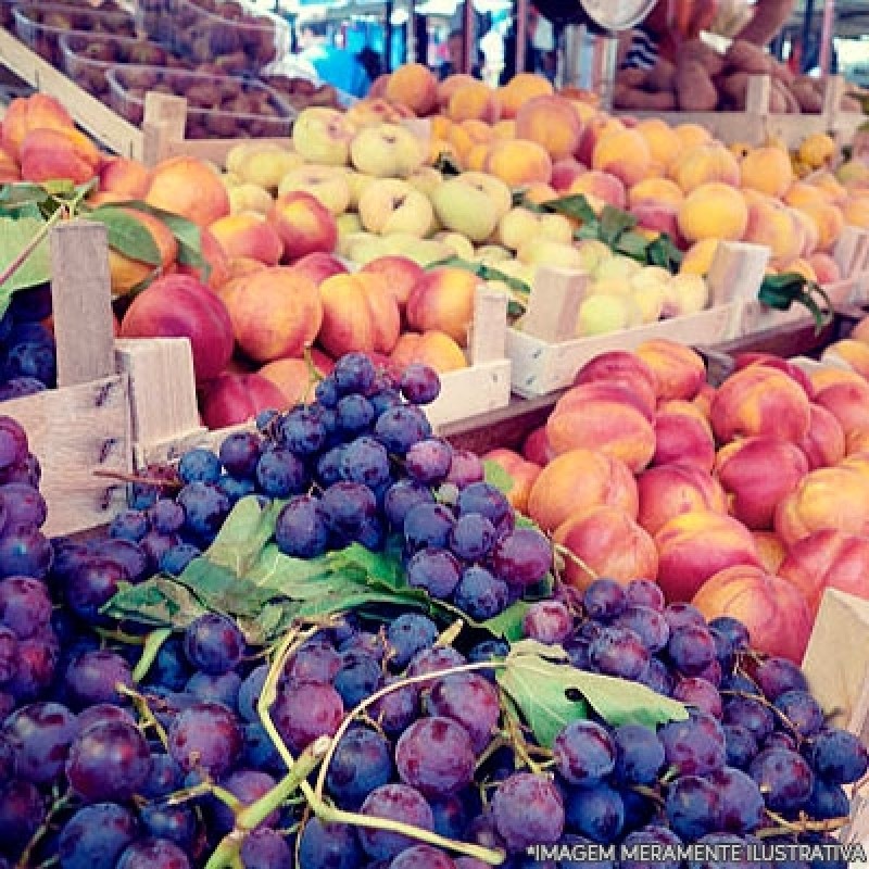 Distribuidora de Hortifruti