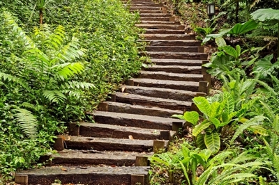 Dormentes de Madeira para Jardim