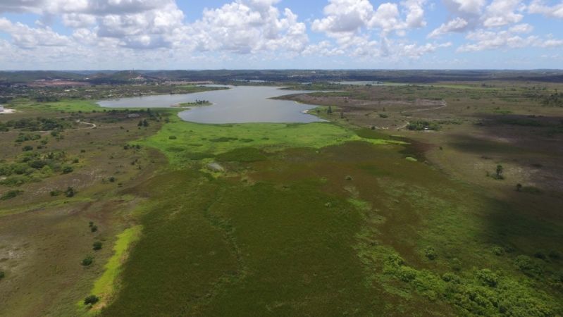 Drone de Fotos