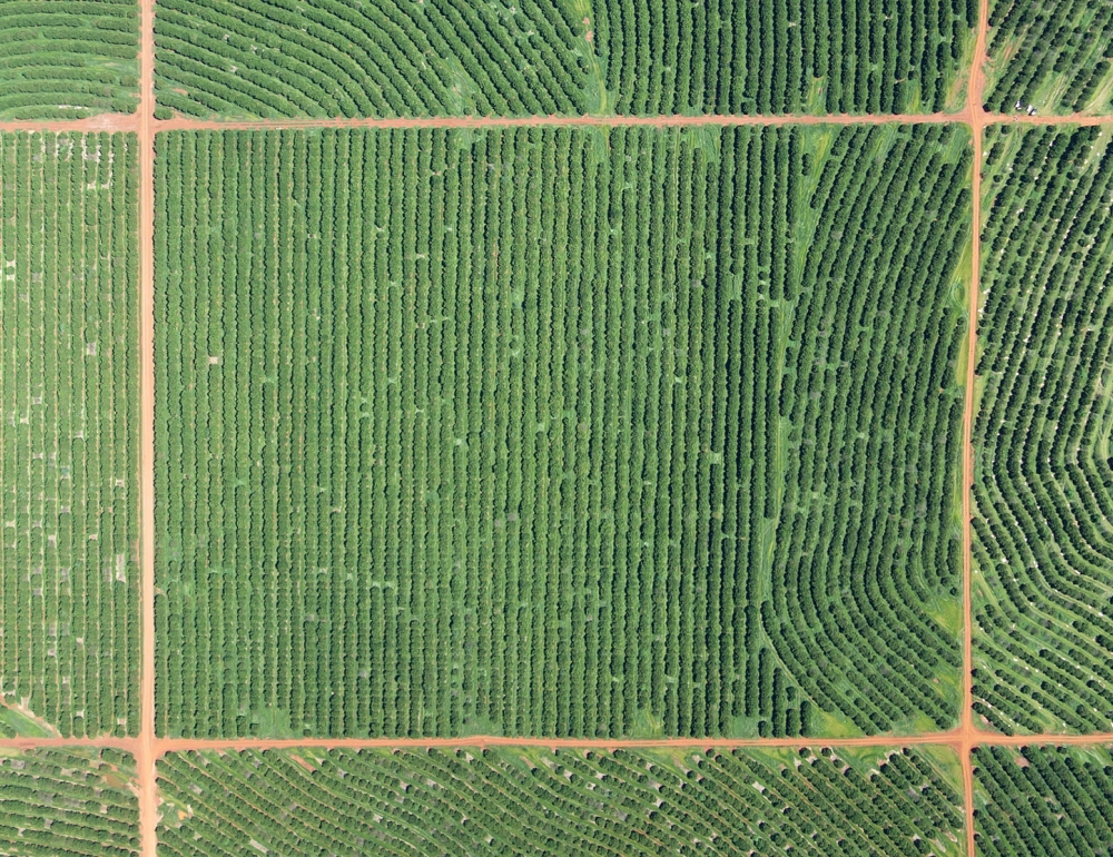 Drone para Levantamento Topográfico