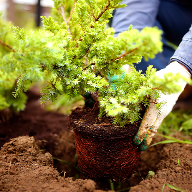 Empresa de Jardinagem Terceirizada