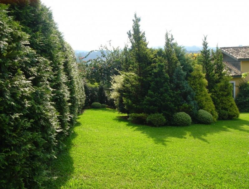 Empresa de Paisagismo em Porto Alegre