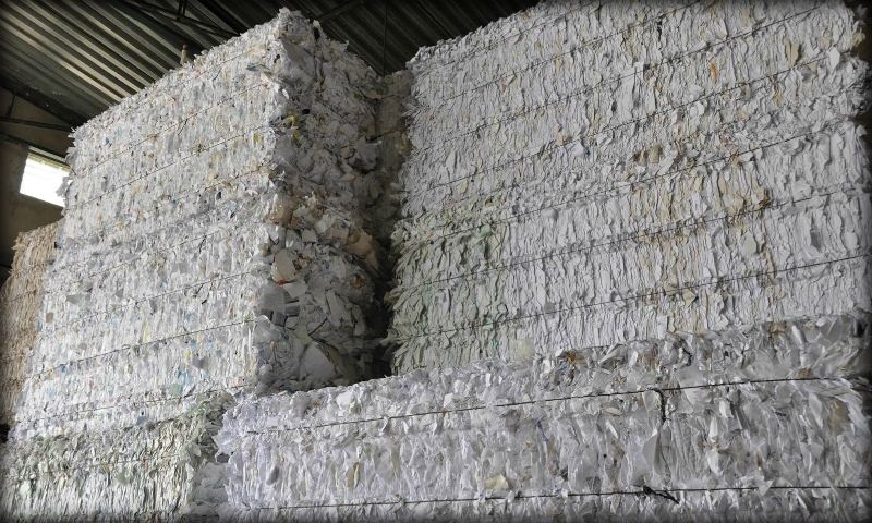 Empresa de Recolha de Papel para Reciclagem