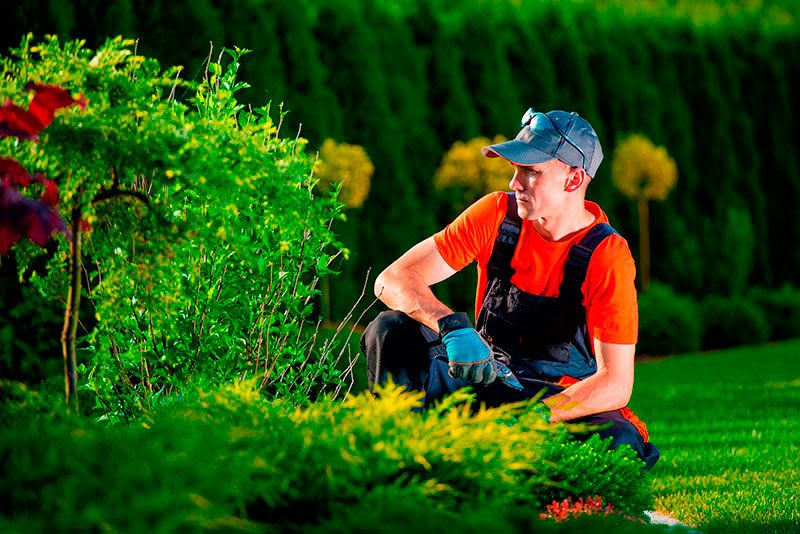 Empresa de Terceirização de Jardinagem