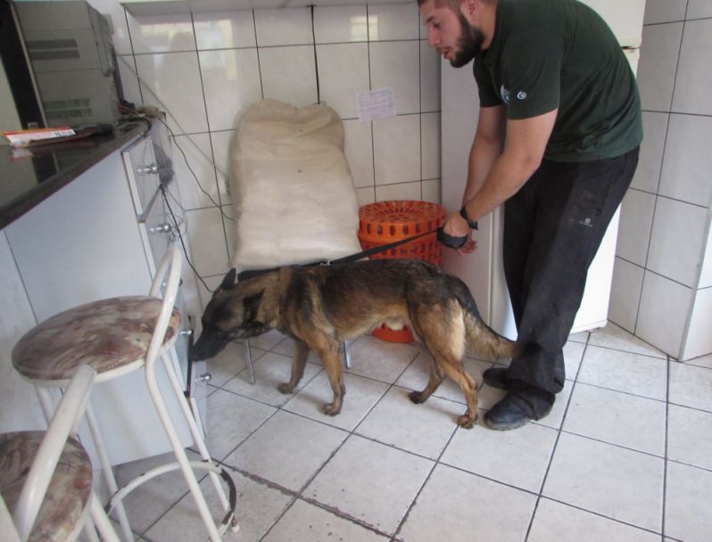 Empresa para Aluguel de Cão Farejador