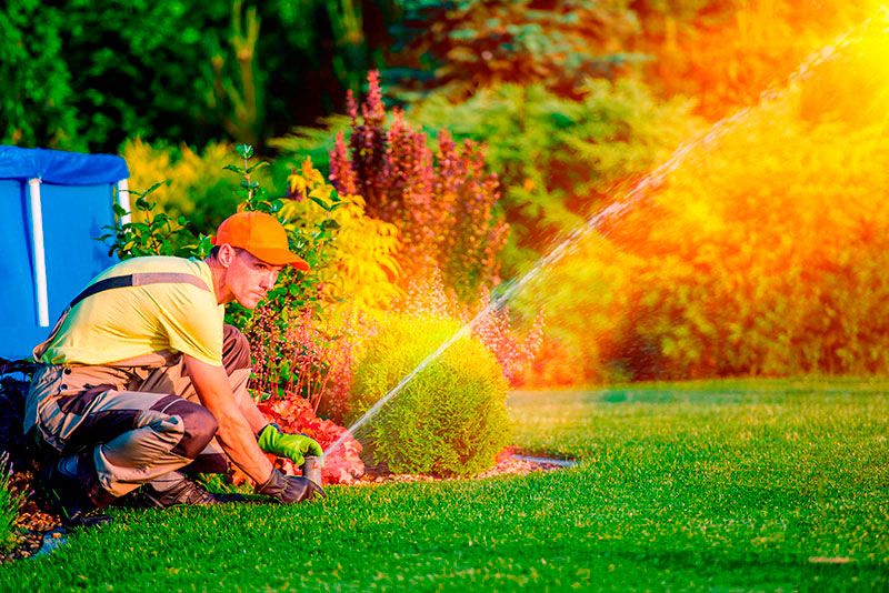 Empresa Terceirizada de Jardinagem